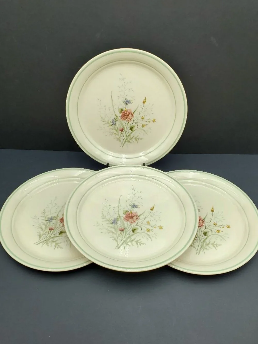 Corning Cornerstone Summer Mist Dinner Plates Corelle Summer Mist Rimmed Plates